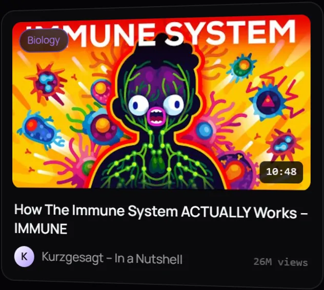 How The Immune System ACTUALLY Works — Kurzgesagt